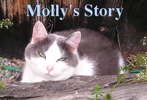 The Story of Molly